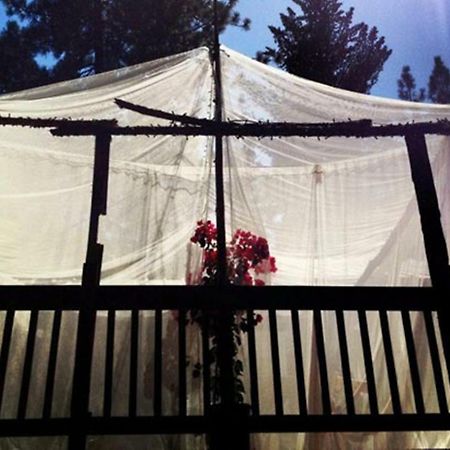 The Red Rooster Lodge Кълтървил Екстериор снимка