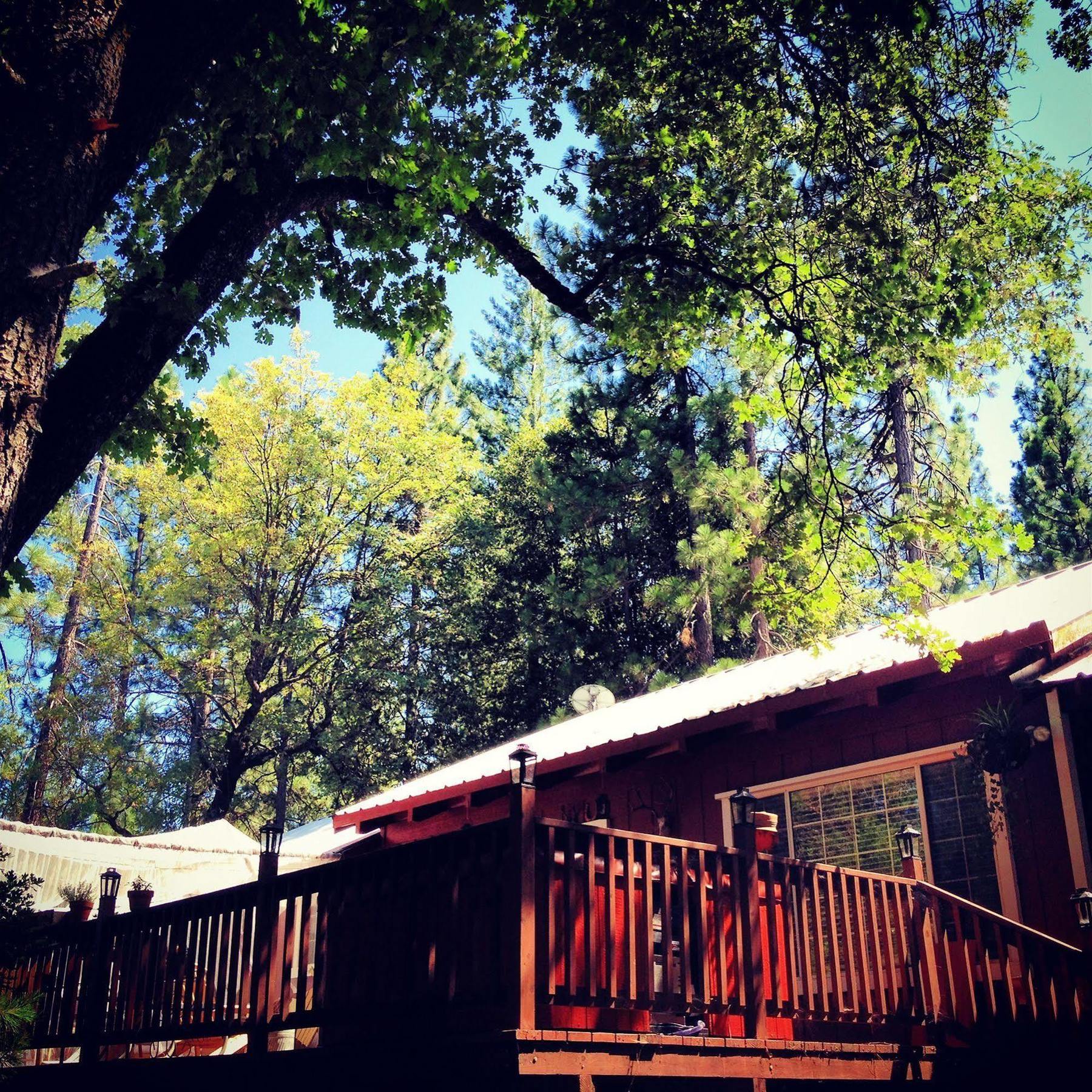 The Red Rooster Lodge Кълтървил Екстериор снимка