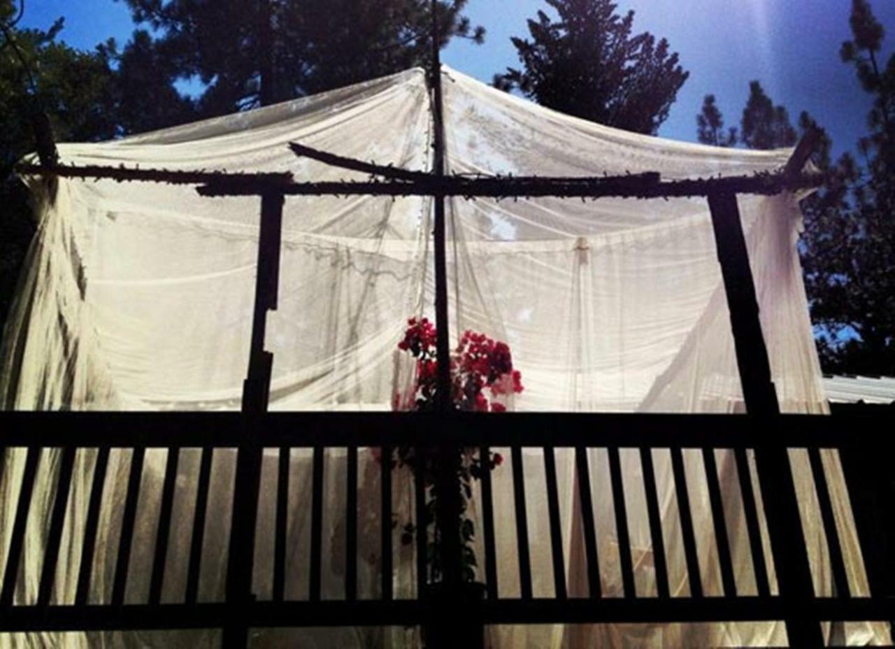 The Red Rooster Lodge Кълтървил Екстериор снимка